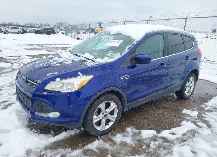 Photo 2 of 2013 Ford Escape SE (VIN 1FMCU0GX7DUC55341)