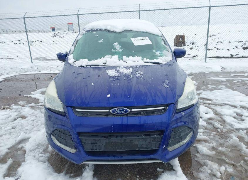 Photo 6 of 2013 Ford Escape SE (VIN 1FMCU0GX7DUC55341)