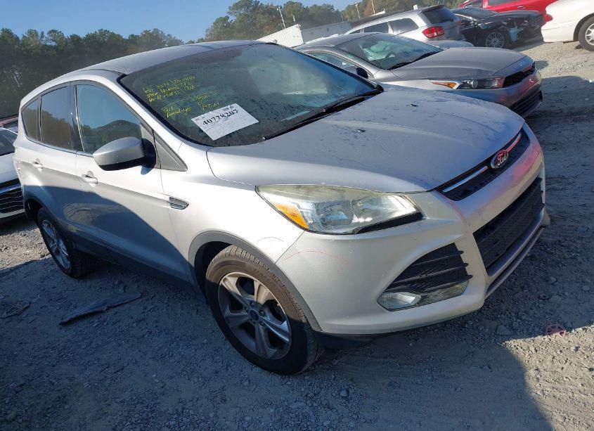 2013 Ford Escape SE (VIN 1FMCU0GX7DUC98738) main photo