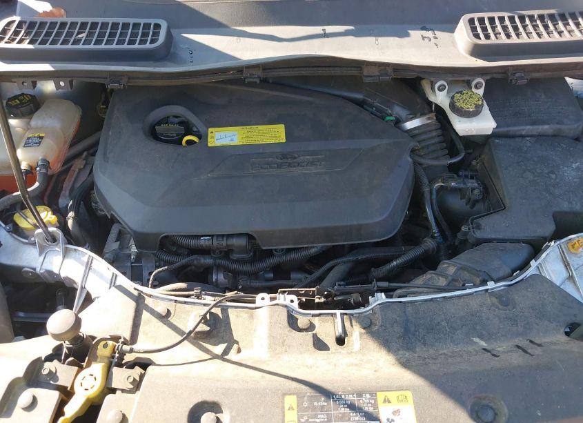 Photo 10 of 2013 Ford Escape SE (VIN 1FMCU0GX7DUC98738)