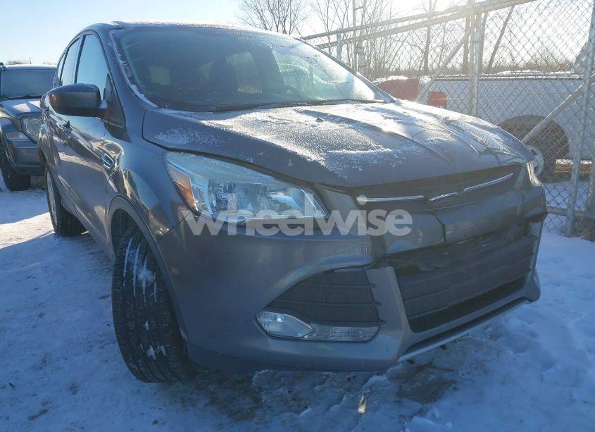 2014 Ford Escape SE (VIN 1FMCU0GX7EUA04174) main photo