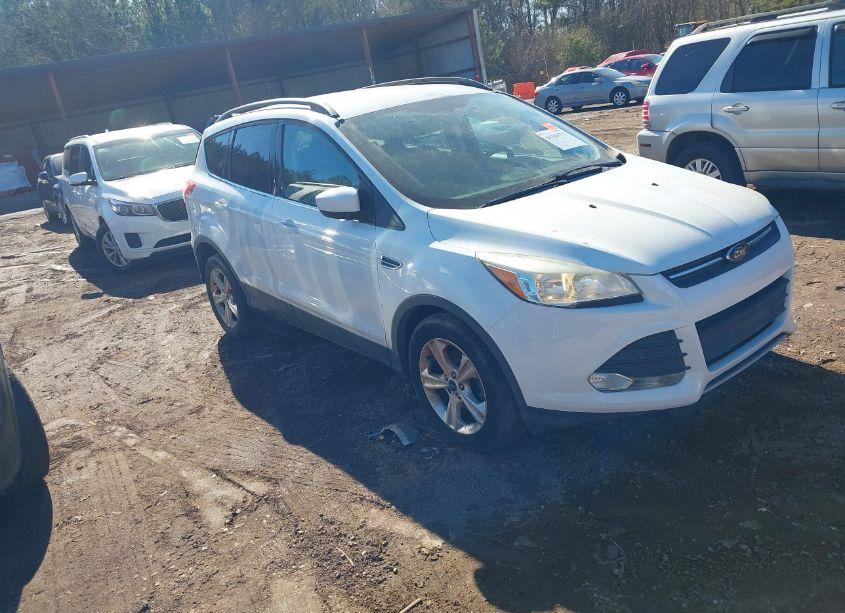 2014 Ford Escape SE (VIN 1FMCU0GX7EUA07009) main photo