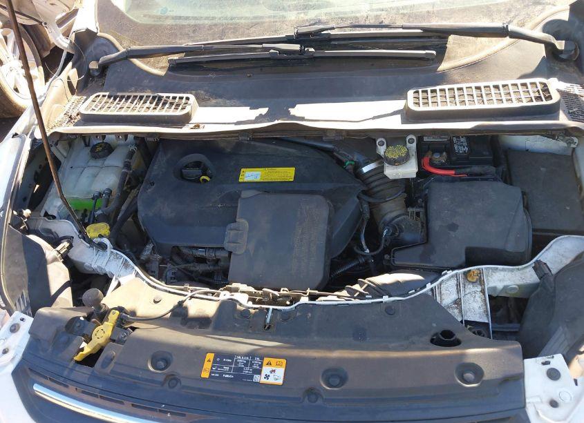 Photo 10 of 2014 Ford Escape SE (VIN 1FMCU0GX7EUA07009)