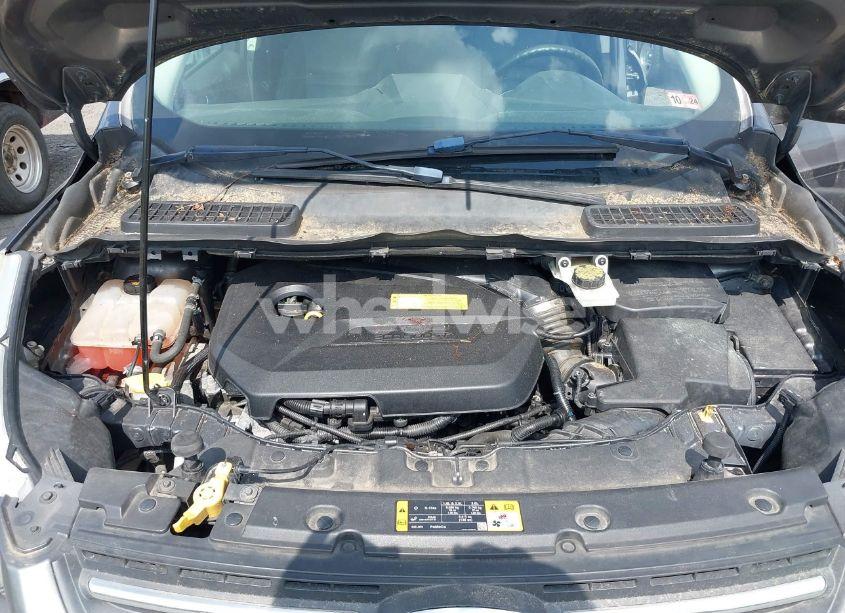 Photo 10 of 2014 Ford Escape SE (VIN 1FMCU0GX7EUA12033)