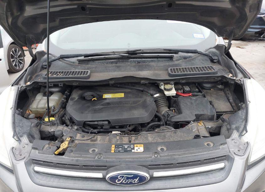 Photo 10 of 2014 Ford Escape SE (VIN 1FMCU0GX7EUA63922)