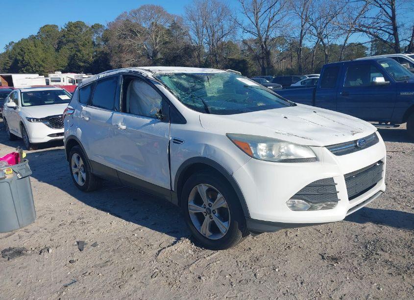 2014 Ford Escape SE (VIN 1FMCU0GX7EUA66240) main photo