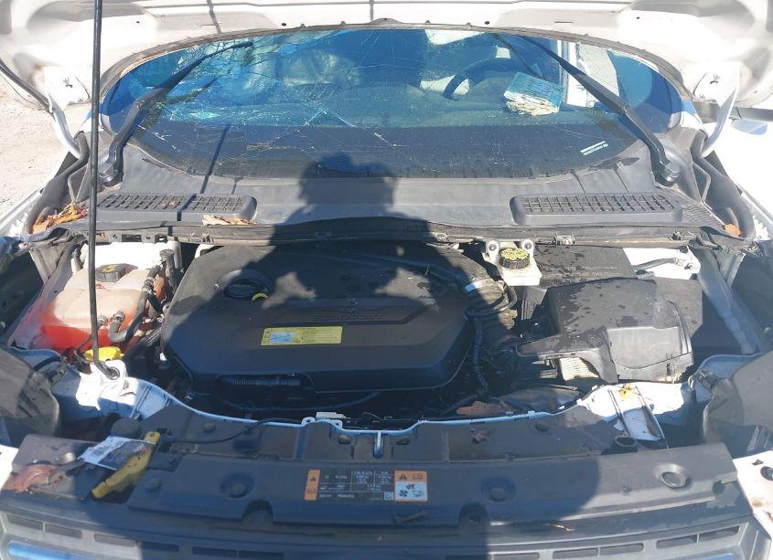 Photo 10 of 2014 Ford Escape SE (VIN 1FMCU0GX7EUA66240)