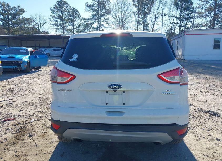 Photo 16 of 2014 Ford Escape SE (VIN 1FMCU0GX7EUA66240)