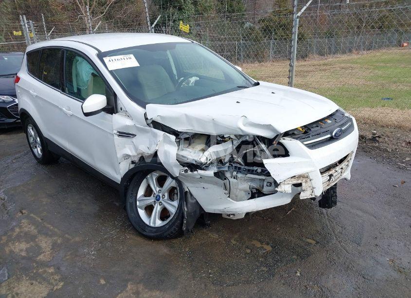 2014 Ford Escape SE (VIN 1FMCU0GX7EUA75519) main photo