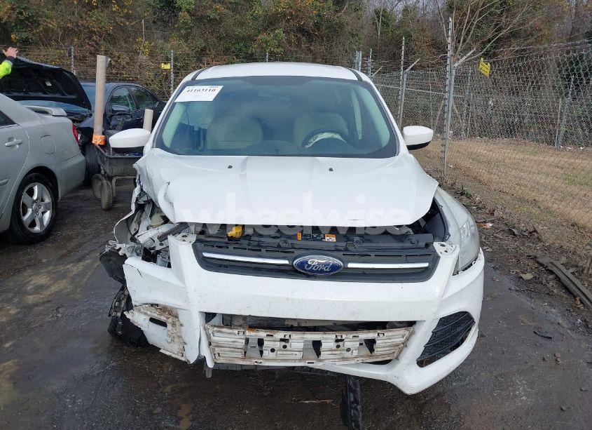 Photo 12 of 2014 Ford Escape SE (VIN 1FMCU0GX7EUA75519)