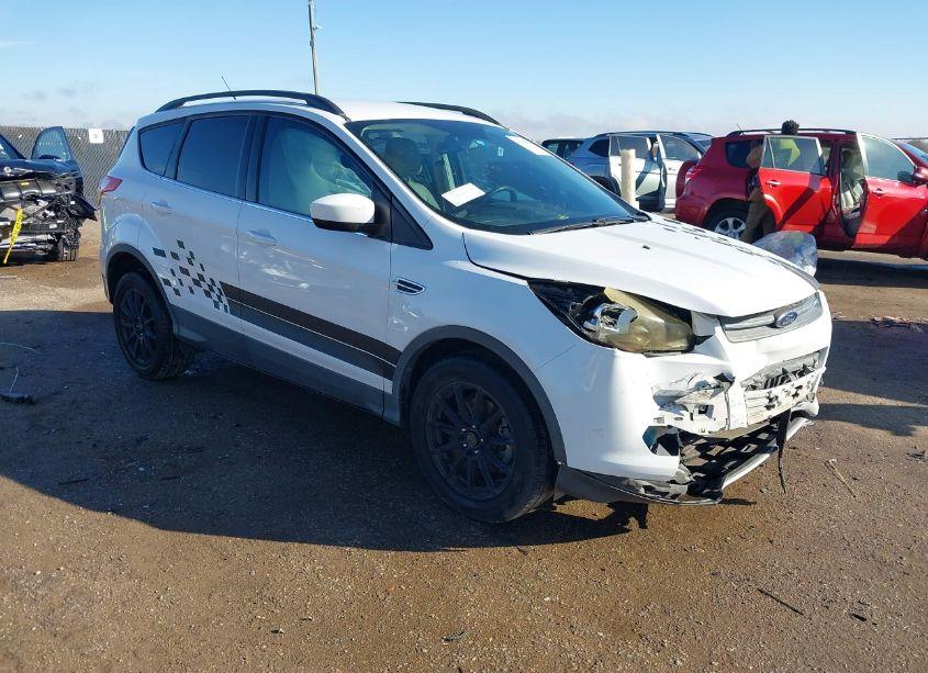 2014 Ford Escape SE (VIN 1FMCU0GX7EUA83863) main photo