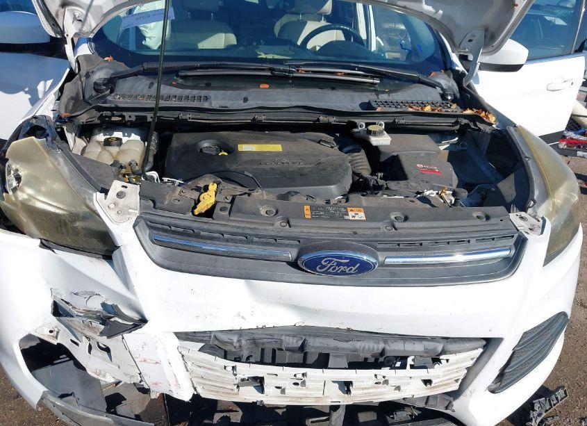 Photo 10 of 2014 Ford Escape SE (VIN 1FMCU0GX7EUA83863)