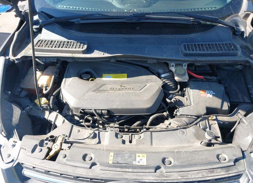 Photo 10 of 2014 Ford Escape SE (VIN 1FMCU0GX7EUA85046)