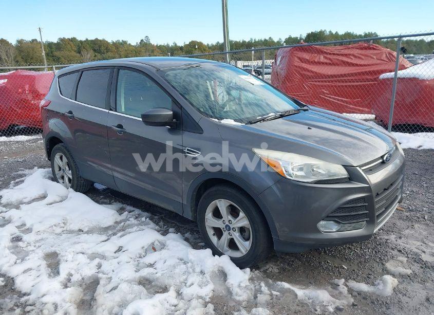 2014 Ford Escape SE (VIN 1FMCU0GX7EUA97083) main photo