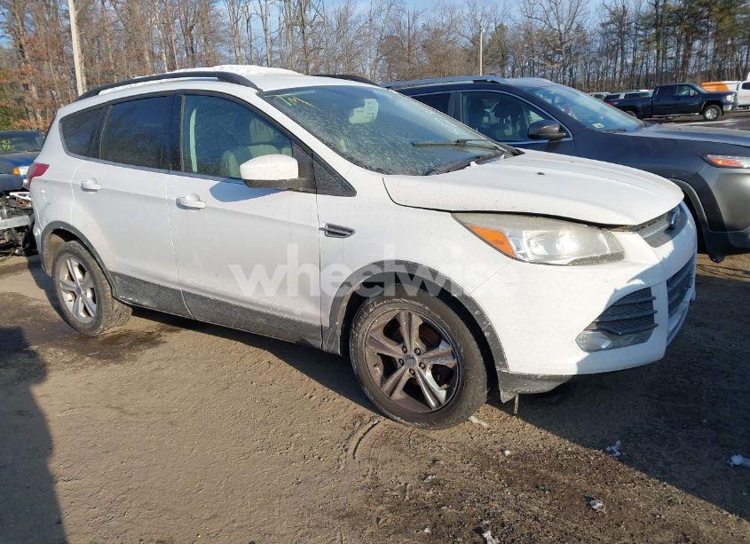 2014 Ford Escape SE (VIN 1FMCU0GX7EUB04887) main photo