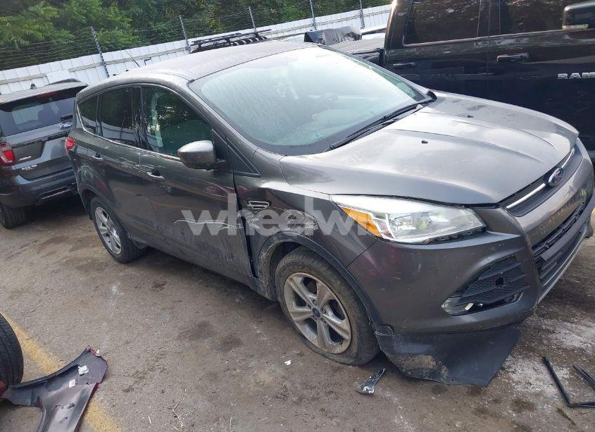 2014 Ford Escape SE (VIN 1FMCU0GX7EUB43835) main photo