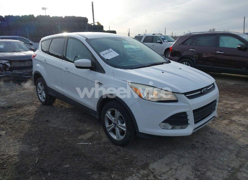 2014 Ford Escape SE (VIN 1FMCU0GX7EUB65222) main photo