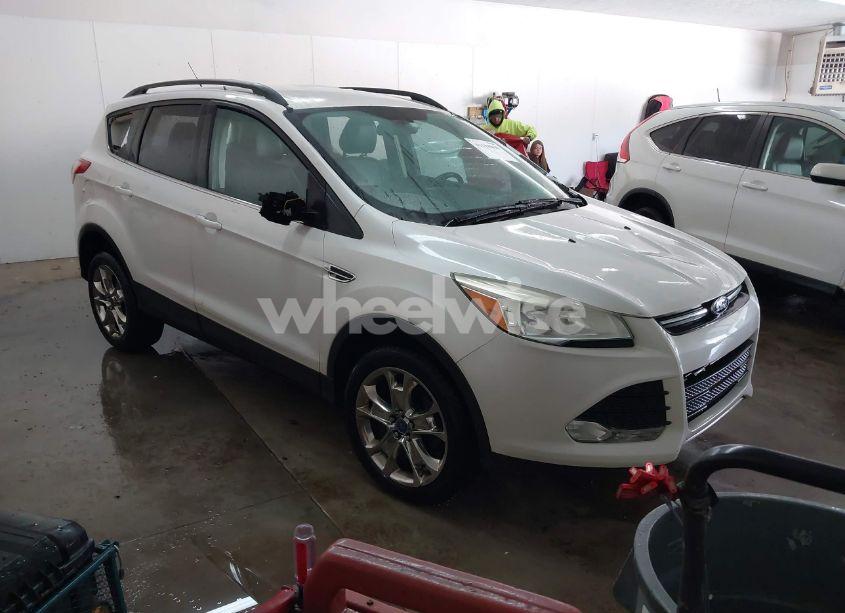 2014 Ford Escape SE (VIN 1FMCU0GX7EUB82425) main photo