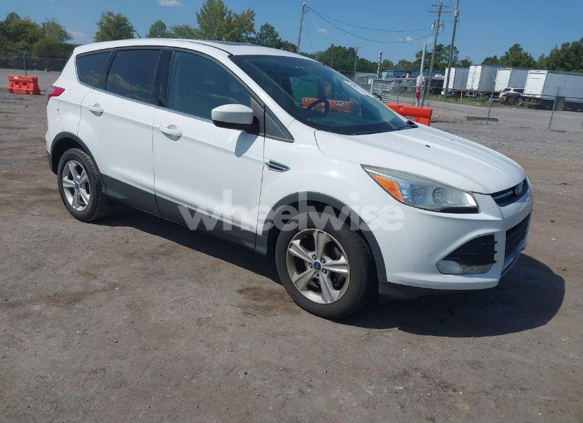 2014 Ford Escape SE (VIN 1FMCU0GX7EUB95661) main photo