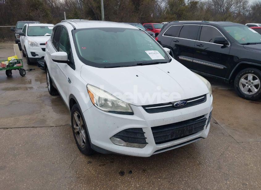 2014 Ford Escape SE (VIN 1FMCU0GX7EUC01880) main photo