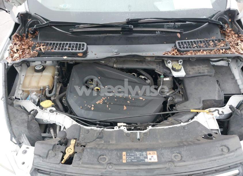 Photo 10 of 2014 Ford Escape SE (VIN 1FMCU0GX7EUC01880)