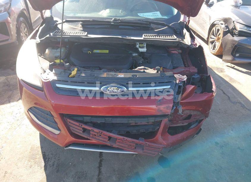 Photo 10 of 2014 Ford Escape SE (VIN 1FMCU0GX7EUC09011)