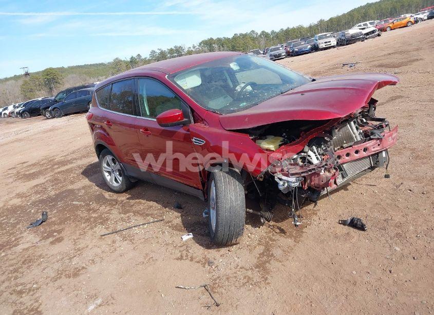 2014 Ford Escape SE (VIN 1FMCU0GX7EUC27301) main photo