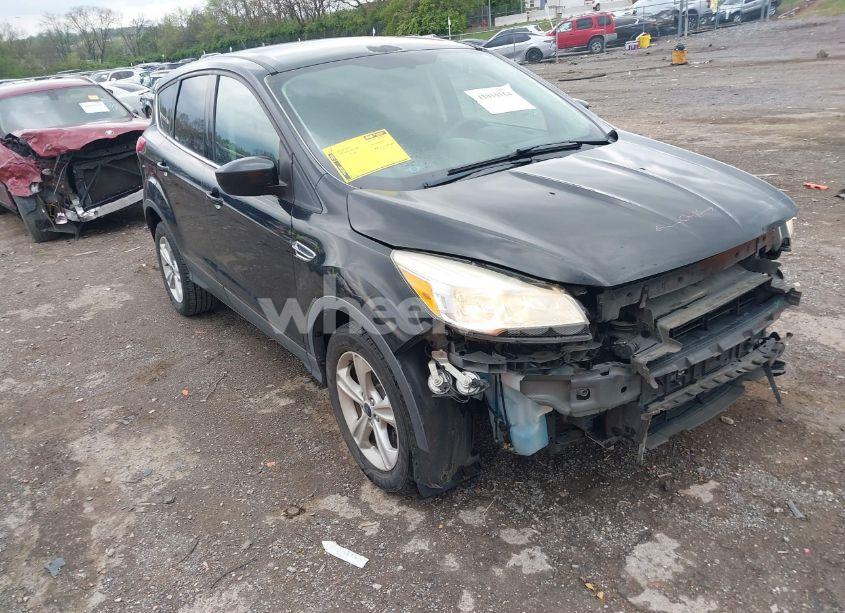 2014 Ford Escape SE (VIN 1FMCU0GX7EUC38542) main photo