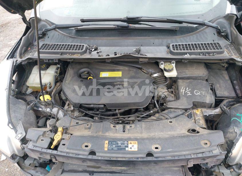 Photo 10 of 2014 Ford Escape SE (VIN 1FMCU0GX7EUC38542)