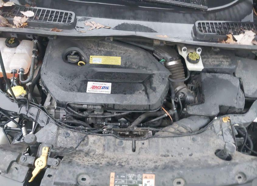 Photo 10 of 2014 Ford Escape SE (VIN 1FMCU0GX7EUC41893)