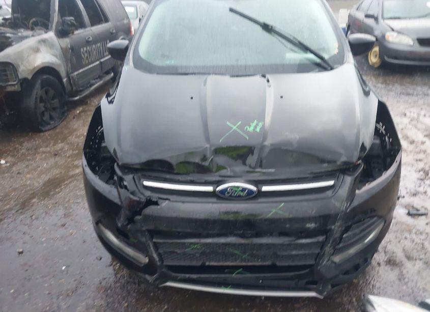 Photo 6 of 2014 Ford Escape SE (VIN 1FMCU0GX7EUC41893)