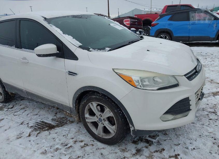 2014 Ford Escape SE (VIN 1FMCU0GX7EUC57835) main photo
