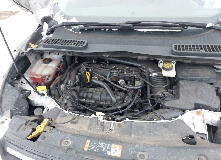 Photo 10 of 2014 Ford Escape SE (VIN 1FMCU0GX7EUC57835)