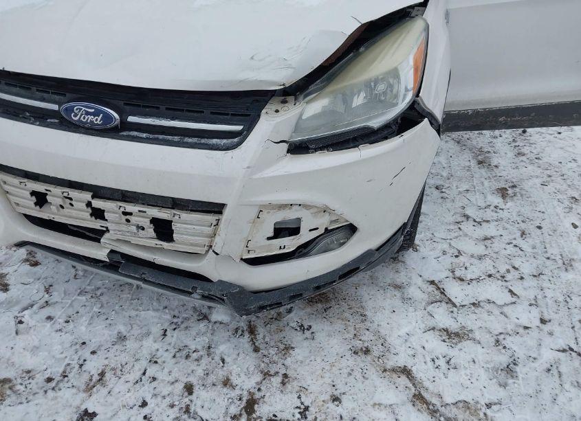 Photo 6 of 2014 Ford Escape SE (VIN 1FMCU0GX7EUC57835)