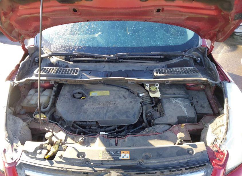 Photo 10 of 2014 Ford Escape SE (VIN 1FMCU0GX7EUC68687)