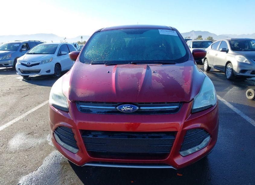 Photo 6 of 2014 Ford Escape SE (VIN 1FMCU0GX7EUC68687)