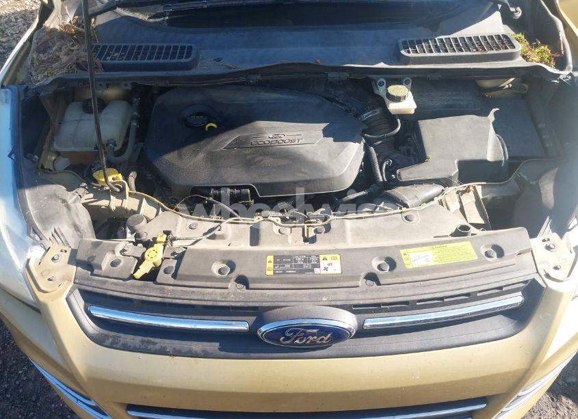 Photo 10 of 2014 Ford Escape SE (VIN 1FMCU0GX7EUC89815)