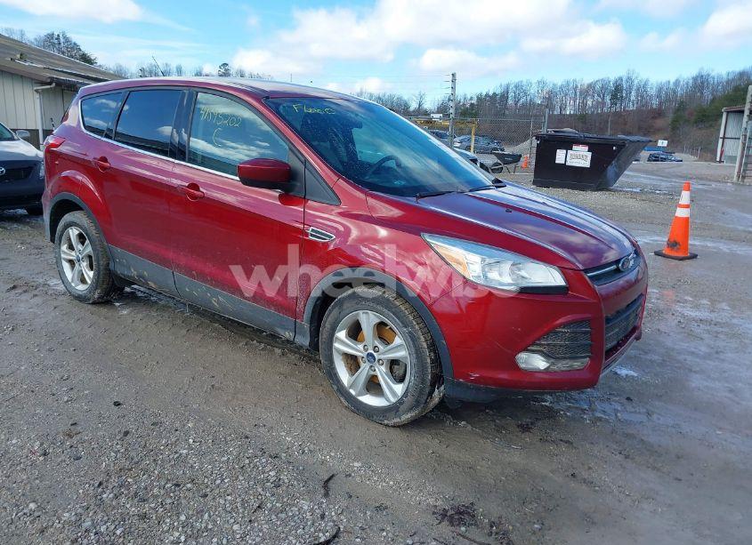 2014 Ford Escape SE (VIN 1FMCU0GX7EUC98241) main photo
