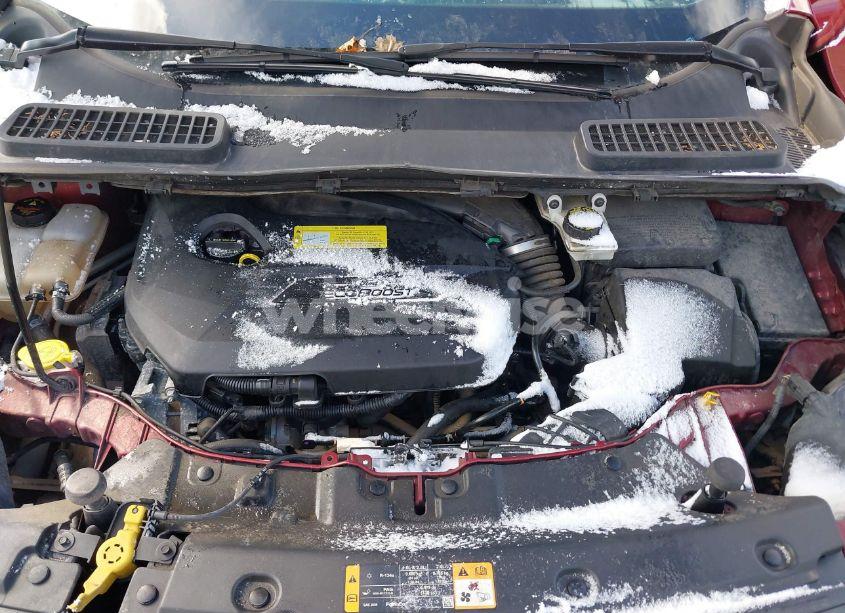 Photo 10 of 2014 Ford Escape SE (VIN 1FMCU0GX7EUC98241)