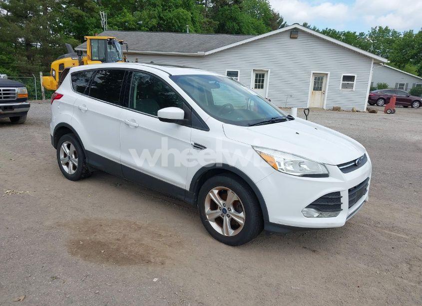 2014 Ford Escape SE (VIN 1FMCU0GX7EUC99146) main photo