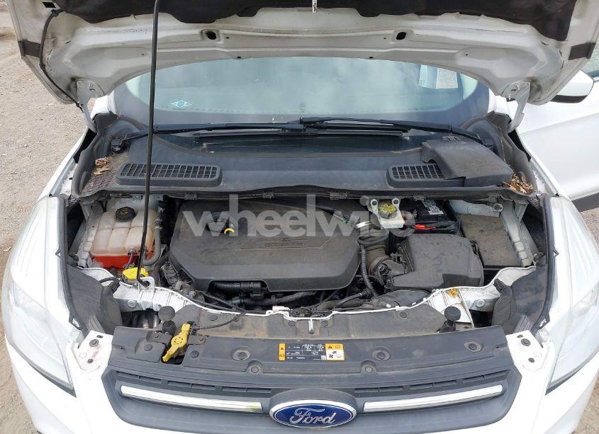Photo 10 of 2014 Ford Escape SE (VIN 1FMCU0GX7EUC99146)