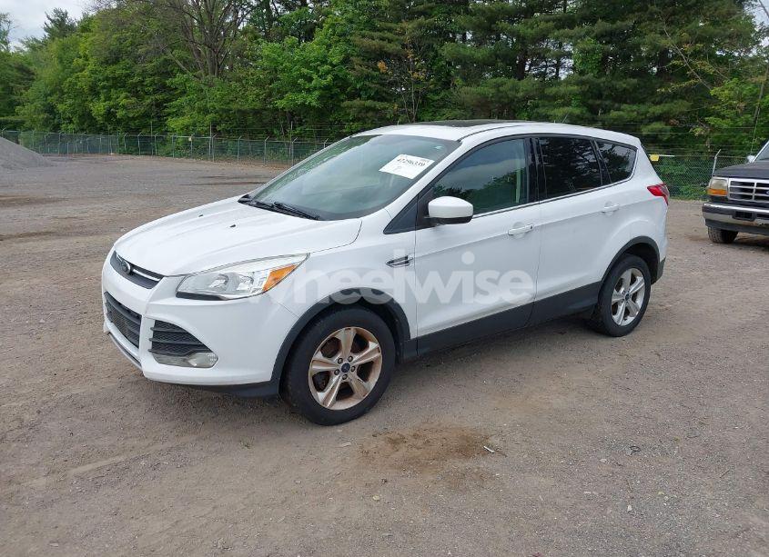 Photo 2 of 2014 Ford Escape SE (VIN 1FMCU0GX7EUC99146)