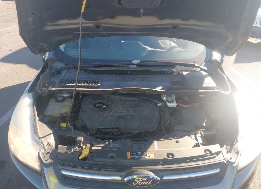 Photo 10 of 2014 Ford Escape SE (VIN 1FMCU0GX7EUD73682)