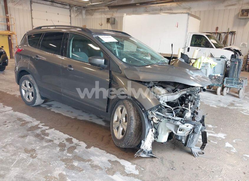 2014 Ford Escape SE (VIN 1FMCU0GX7EUE24159) main photo