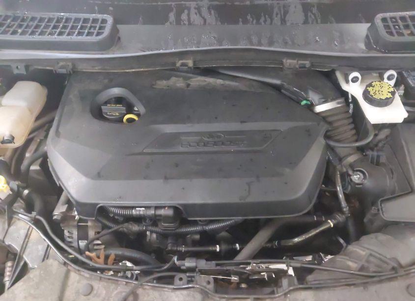 Photo 10 of 2015 Ford Escape SE (VIN 1FMCU0GX7FUA48614)