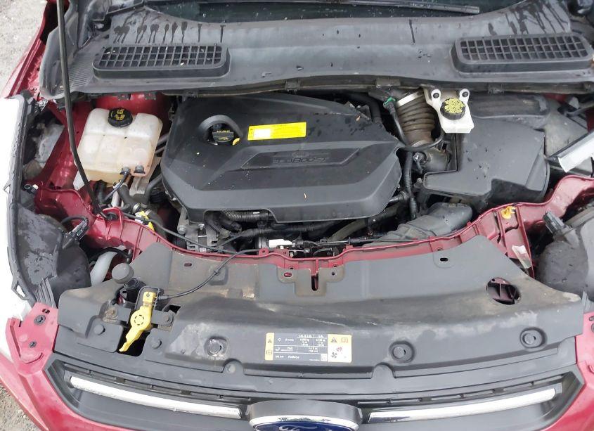 Photo 10 of 2015 Ford Escape SE (VIN 1FMCU0GX7FUB11386)