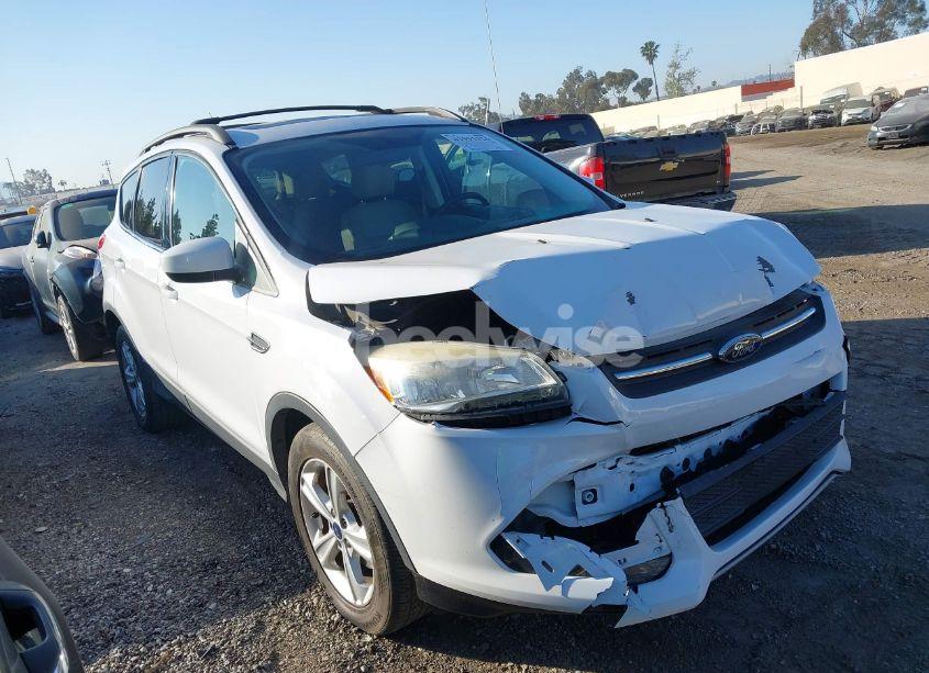 2015 Ford Escape SE (VIN 1FMCU0GX7FUB63049) main photo