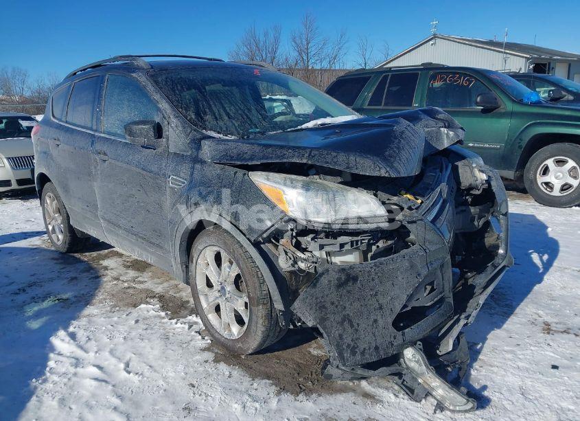 2015 Ford Escape SE (VIN 1FMCU0GX7FUC20740) main photo