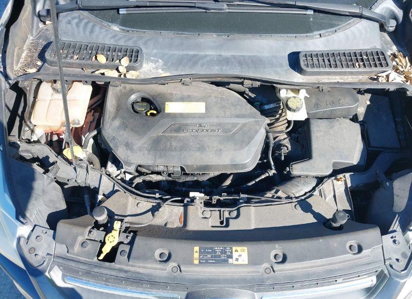 Photo 10 of 2015 Ford Escape SE (VIN 1FMCU0GX7FUC40440)