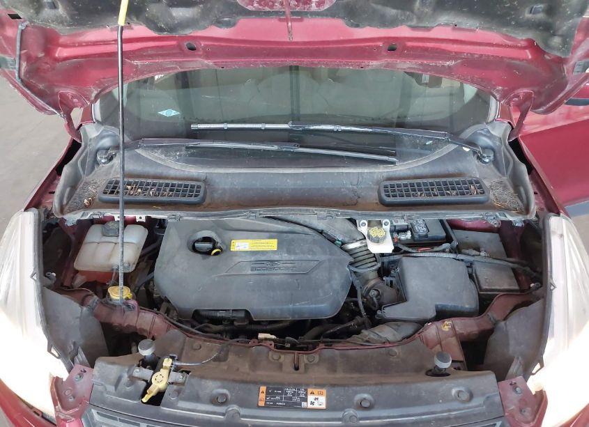 Photo 10 of 2016 Ford Escape SE (VIN 1FMCU0GX7GUA11354)